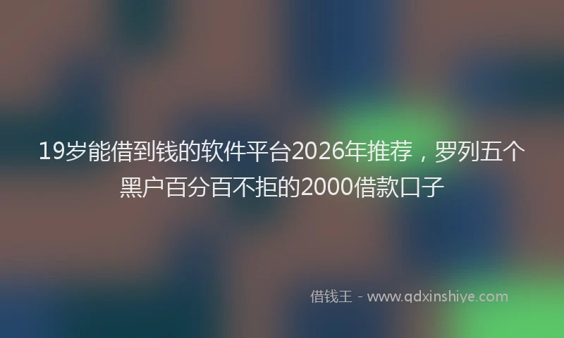 19岁能借到钱的软件平台2026年推荐,罗列五个黑户百分百不拒的2000借款口子