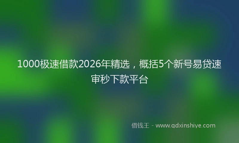 1000极速借款2026年精选,概括5个新号易贷速审秒下款平台