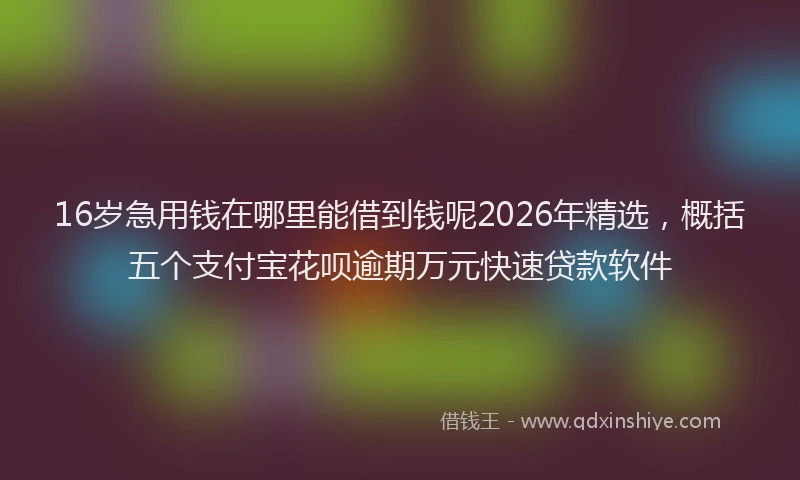 16岁急用钱在哪里能借到钱呢2026年精选，概括五个支付宝花呗逾期万元快速贷款软件