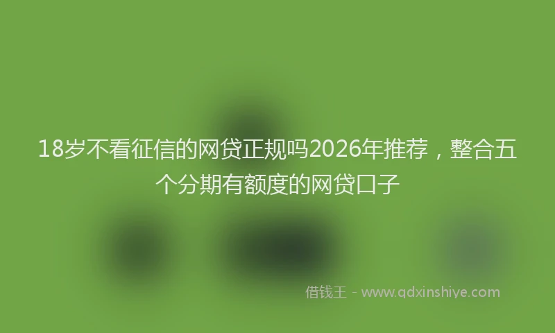 18岁不看征信的网贷正规吗2026年推荐，整合五个分期有额度的网贷口子