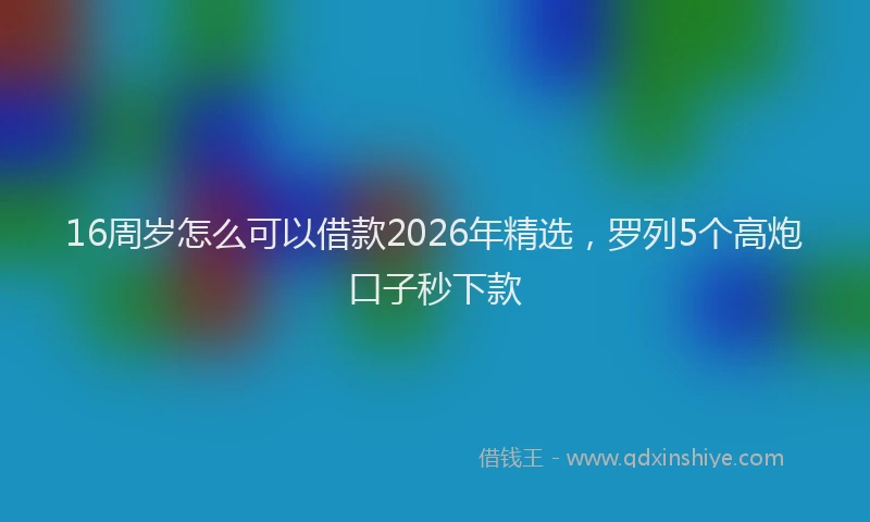16周岁怎么可以借款2026年精选，罗列5个高炮口子秒下款