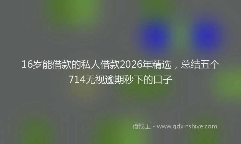 16岁能借款的私人借款2026年精选，总结五个714无视逾期秒下的口子