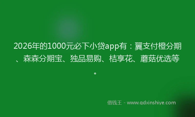 2026年的1000元必下小贷app有:翼支付橙分期、森森分期宝、独品易购、桔享花、蘑菇优选等。