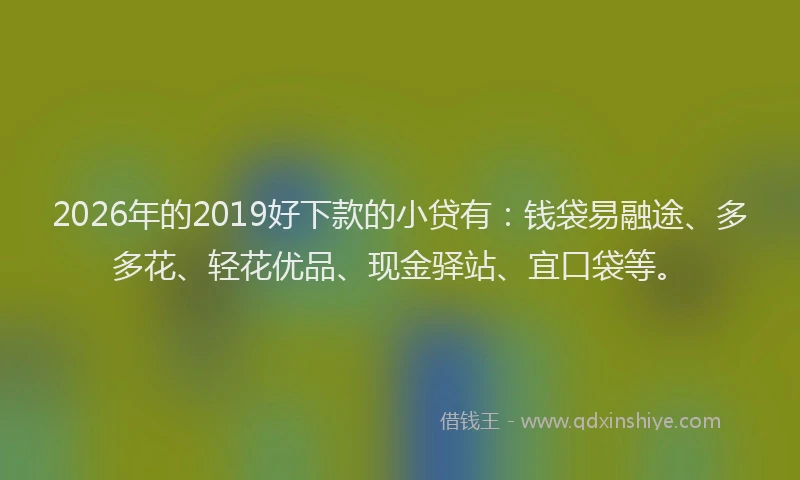 2026年的2019好下款的小贷有:钱袋易融途、多多花、轻花优品、现金驿站、宜口袋等。