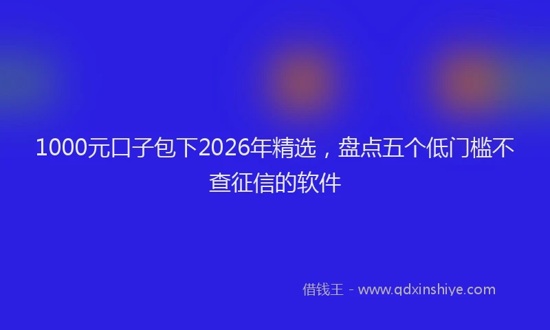 1000元口子包下2026年精选，盘点五个低门槛不查征信的软件