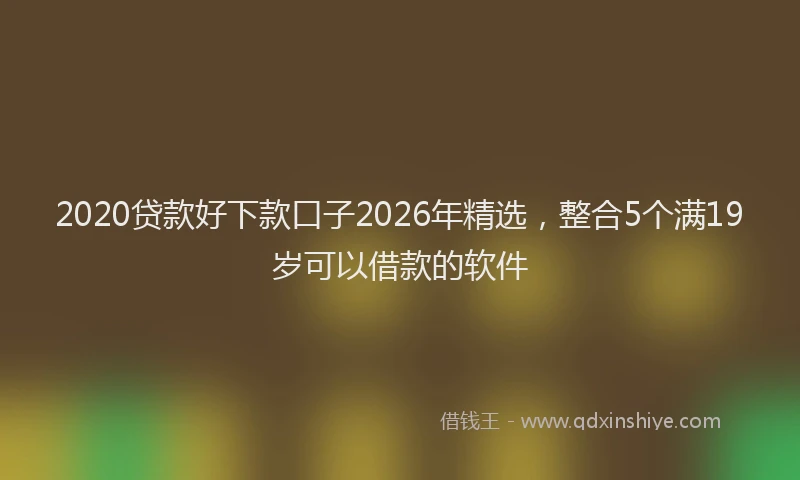 2020贷款好下款口子2026年精选,整合5个满19岁可以借款的软件