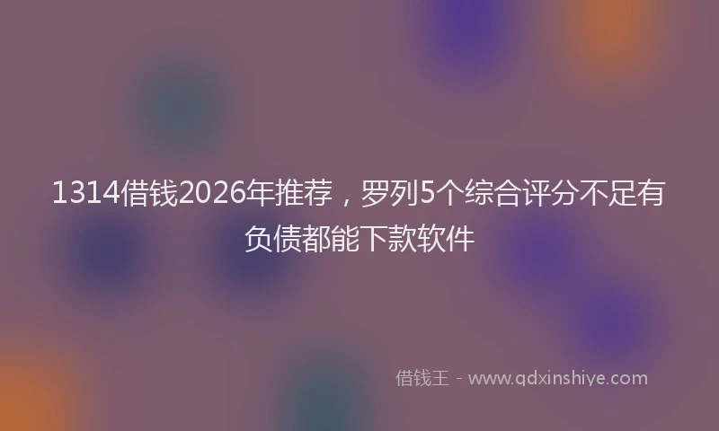 1314借钱2026年推荐，罗列5个综合评分不足有负债都能下款软件