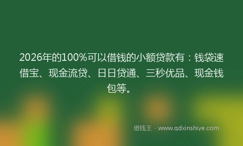 2026年的100%可以借钱的小额贷款有:钱袋速借宝、现金流贷、日日贷通、三秒优品、现金钱包等。