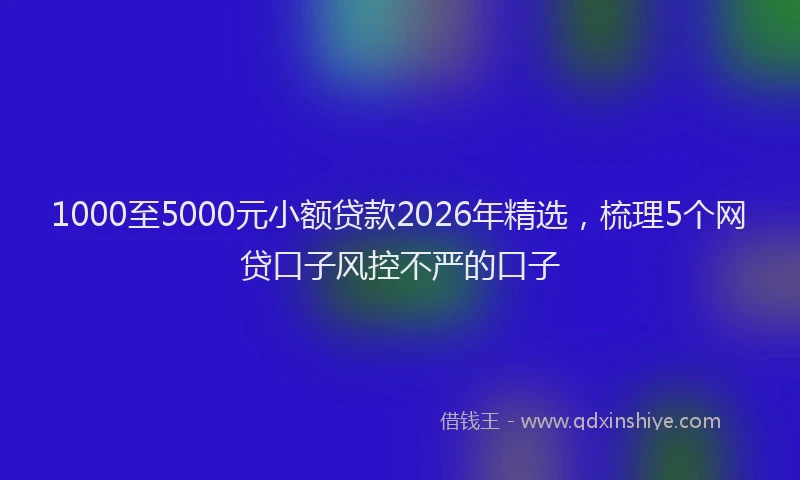1000至5000元小额贷款2026年精选，梳理5个网贷口子风控不严的口子