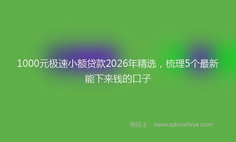 1000元极速小额贷款2026年精选，梳理5个最新能下来钱的口子