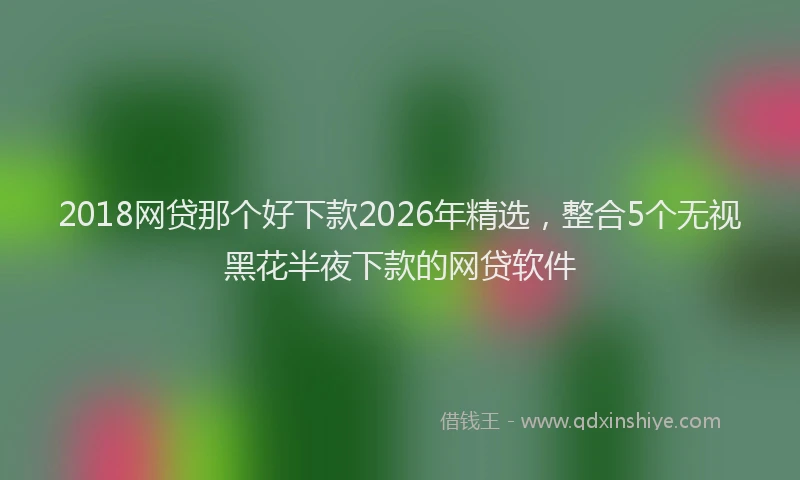 2018网贷那个好下款2026年精选,整合5个无视黑花半夜下款的网贷软件