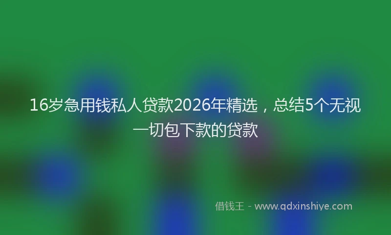16岁急用钱私人贷款2026年精选，总结5个无视一切包下款的贷款