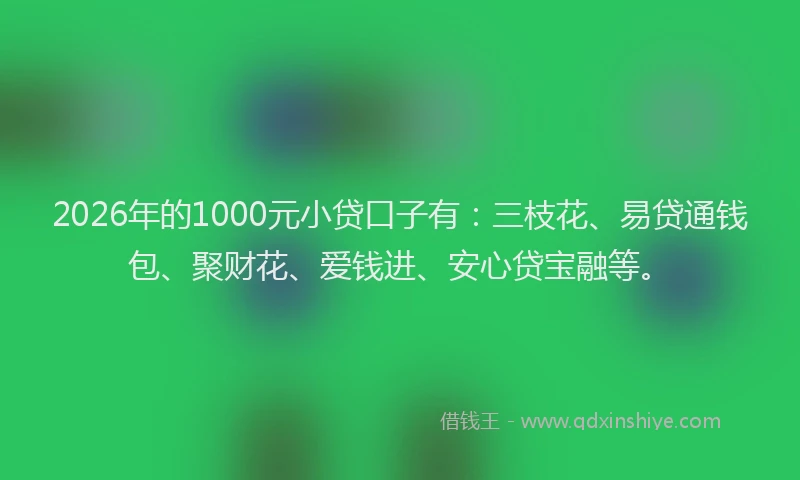 2026年的1000元小贷口子有:三枝花、易贷通钱包、聚财花、爱钱进、安心贷宝融等。