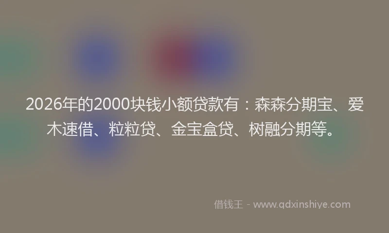 2026年的2000块钱小额贷款有：森森分期宝、爱木速借、粒粒贷、金宝盒贷、树融分期等。