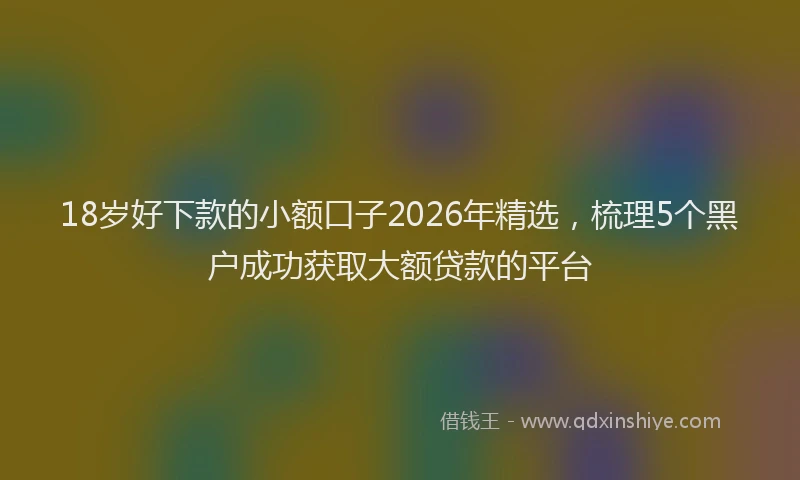 18岁好下款的小额口子2026年精选，梳理5个黑户成功获取大额贷款的平台
