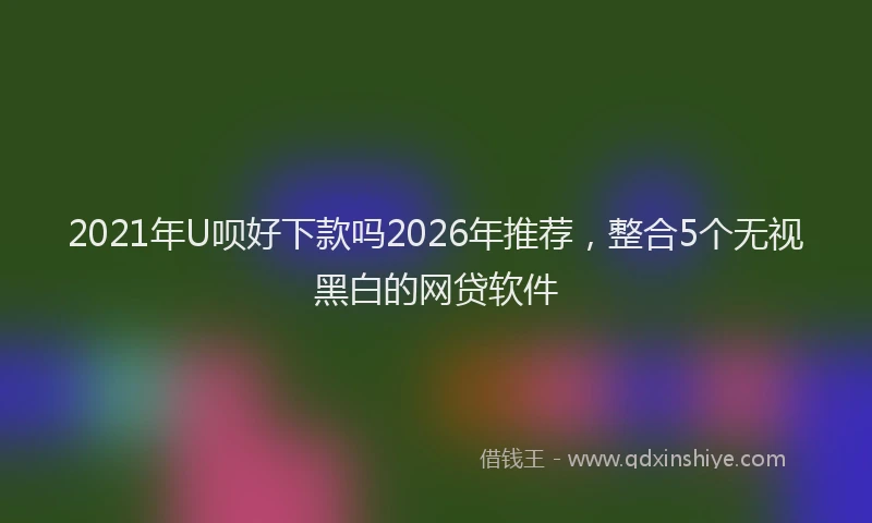 2021年U呗好下款吗2026年推荐，整合5个无视黑白的网贷软件
