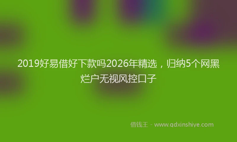 2019好易借好下款吗2026年精选，归纳5个网黑烂户无视风控口子