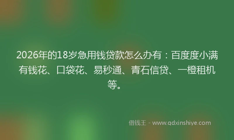 2026年的18岁急用钱贷款怎么办有：百度度小满有钱花、口袋花、易秒通、青石信贷、一橙租机等。