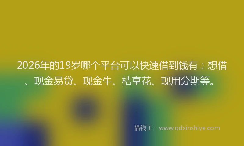 2026年的19岁哪个平台可以快速借到钱有:想借、现金易贷、现金牛、桔享花、现用分期等。