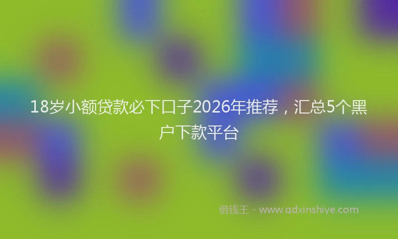 18岁小额贷款必下口子2026年推荐，汇总5个黑户下款平台