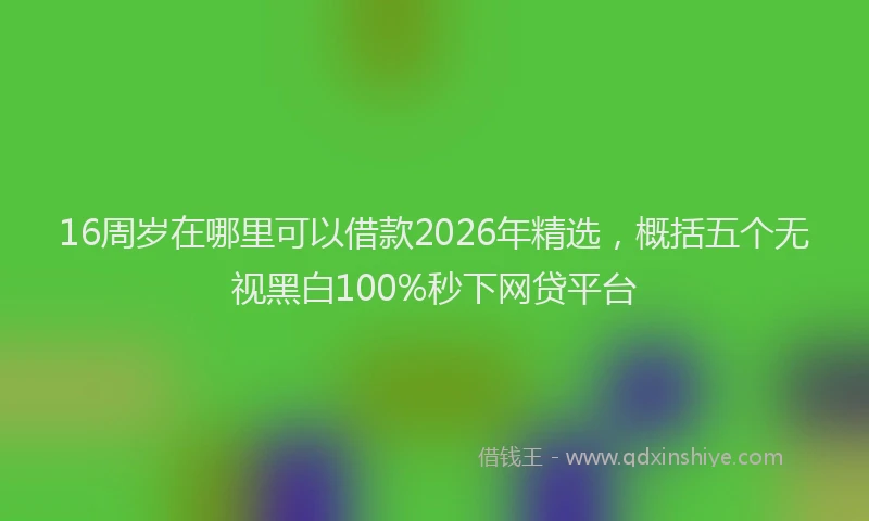 16周岁在哪里可以借款2026年精选，概括五个无视黑白100%秒下网贷平台