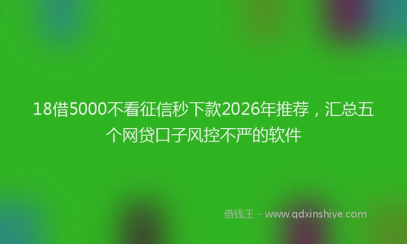 18借5000不看征信秒下款2026年推荐,汇总五个网贷口子风控不严的软件