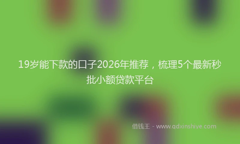 19岁能下款的口子2026年推荐,梳理5个最新秒批小额贷款平台
