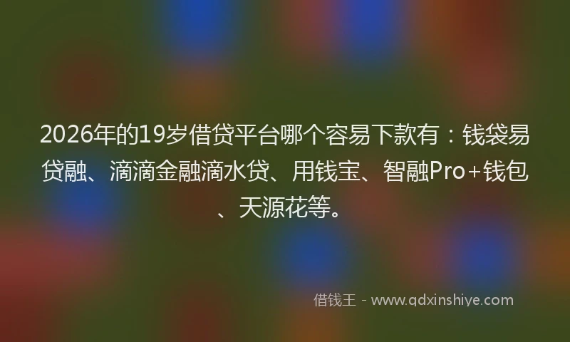 2026年的19岁借贷平台哪个容易下款有:钱袋易贷融、滴滴金融滴水贷、用钱宝、智融Pro+钱包、天源花等。