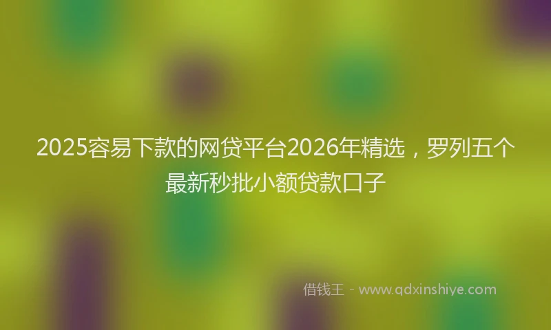 2025容易下款的网贷平台2026年精选,罗列五个最新秒批小额贷款口子