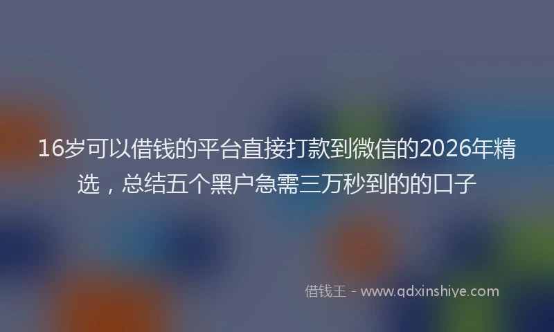 16岁可以借钱的平台直接打款到微信的2026年精选，总结五个黑户急需三万秒到的的口子
