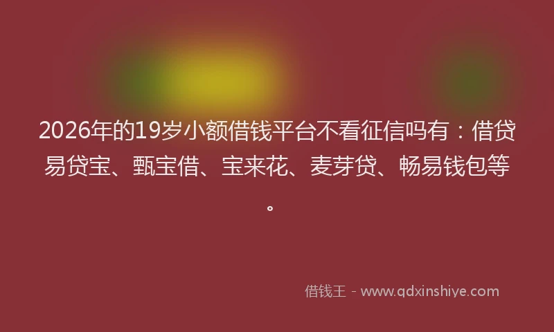 2026年的19岁小额借钱平台不看征信吗有:借贷易贷宝、甄宝借、宝来花、麦芽贷、畅易钱包等。