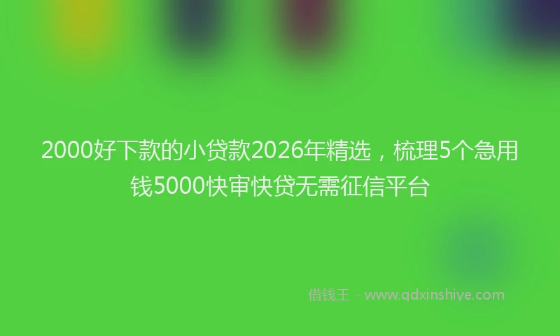 2000好下款的小贷款2026年精选，梳理5个急用钱5000快审快贷无需征信平台