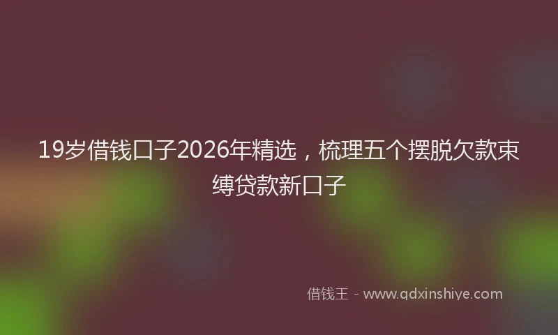 19岁借钱口子2026年精选，梳理五个摆脱欠款束缚贷款新口子