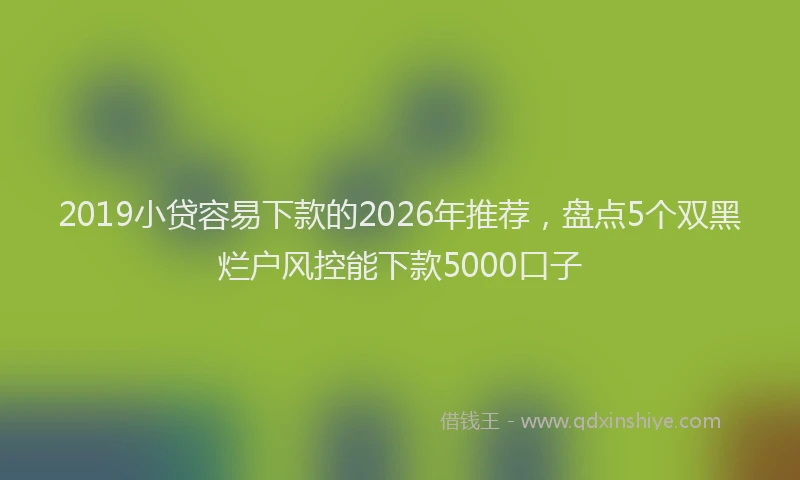2019小贷容易下款的2026年推荐,盘点5个双黑烂户风控能下款5000口子