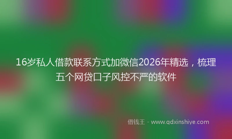16岁私人借款联系方式加微信2026年精选,梳理五个网贷口子风控不严的软件
