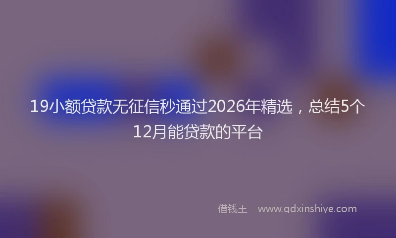 19小额贷款无征信秒通过2026年精选，总结5个12月能贷款的平台