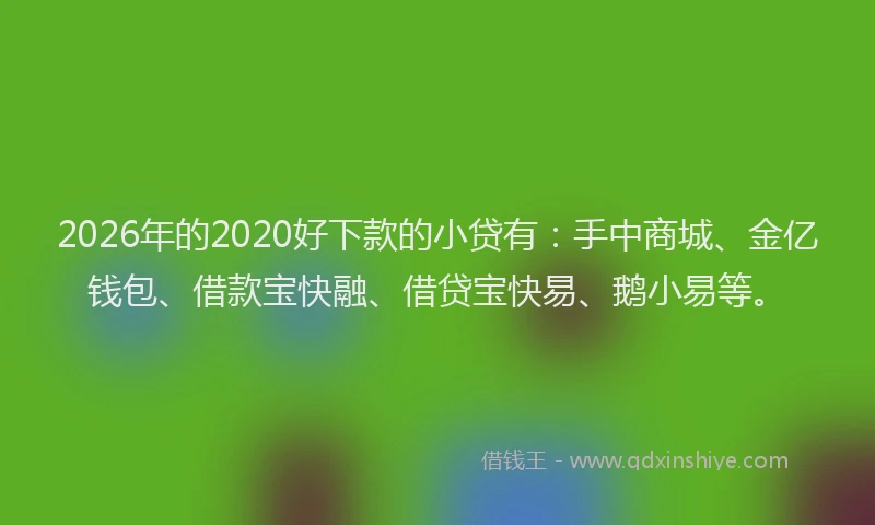 2026年的2020好下款的小贷有:手中商城、金亿钱包、借款宝快融、借贷宝快易、鹅小易等。
