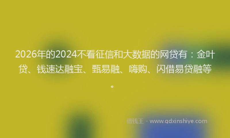 2026年的2024不看征信和大数据的网贷有：金叶贷、钱速达融宝、甄易融、嗨购、闪借易贷融等。