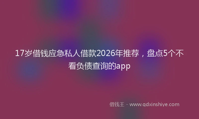 17岁借钱应急私人借款2026年推荐，盘点5个不看负债查询的app