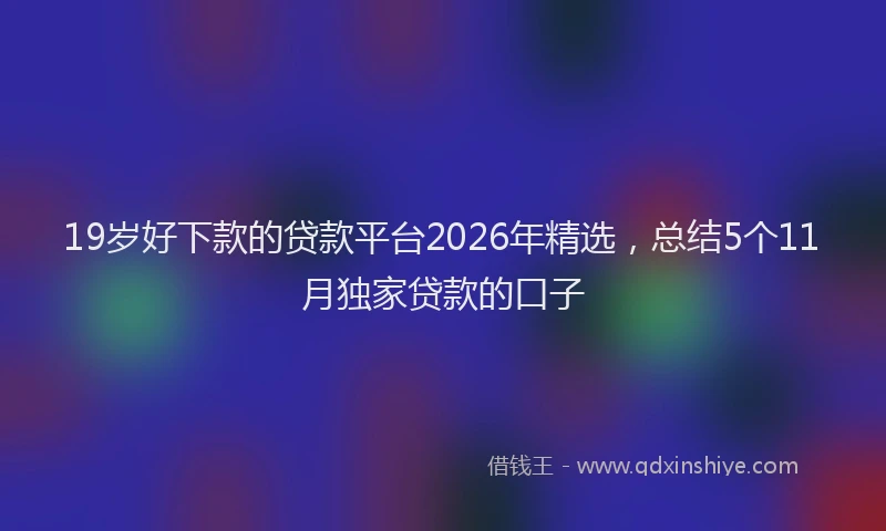 19岁好下款的贷款平台2026年精选，总结5个11月独家贷款的口子