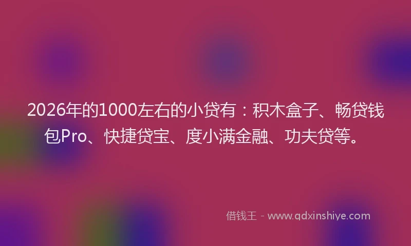 2026年的1000左右的小贷有：积木盒子、畅贷钱包Pro、快捷贷宝、度小满金融、功夫贷等。