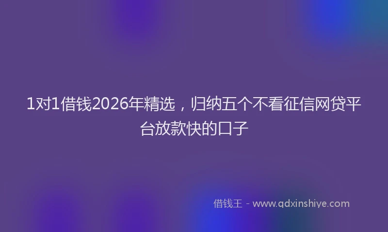 1对1借钱2026年精选,归纳五个不看征信网贷平台放款快的口子