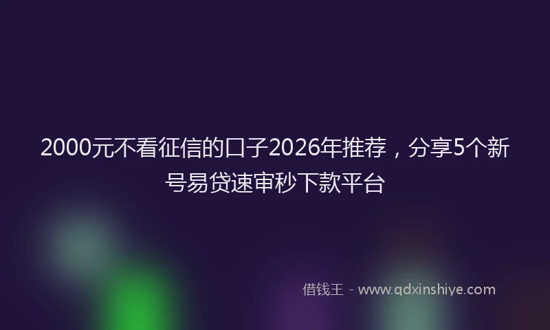 2000元不看征信的口子2026年推荐，分享5个新号易贷速审秒下款平台