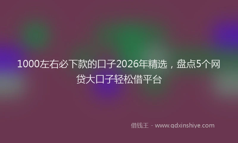 1000左右必下款的口子2026年精选，盘点5个网贷大口子轻松借平台