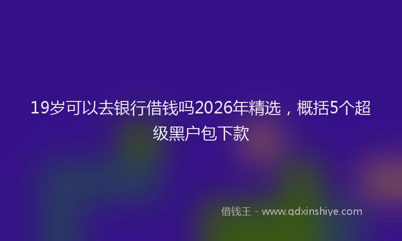 19岁可以去银行借钱吗2026年精选，概括5个超级黑户包下款