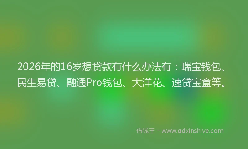 2026年的16岁想贷款有什么办法有：瑞宝钱包、民生易贷、融通Pro钱包、大洋花、速贷宝盒等。