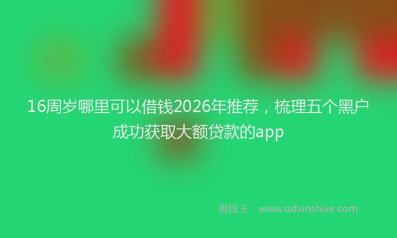 16周岁哪里可以借钱2026年推荐，梳理五个黑户成功获取大额贷款的app