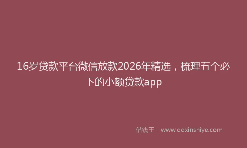 16岁贷款平台微信放款2026年精选，梳理五个必下的小额贷款app