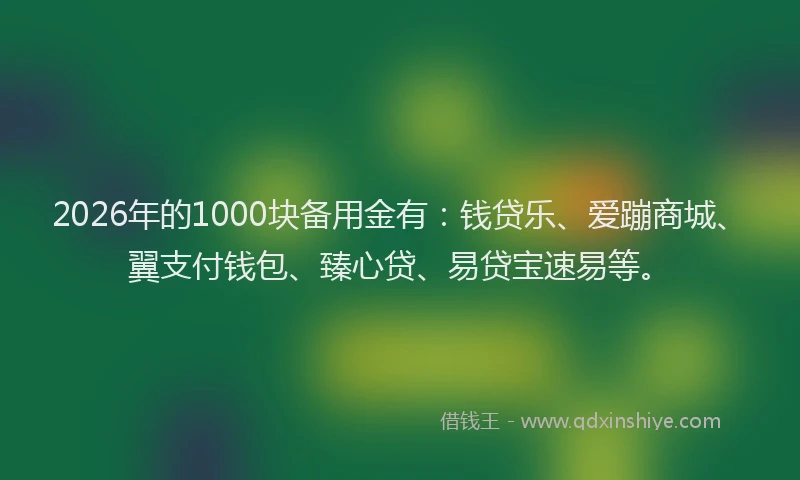 2026年的1000块备用金有:钱贷乐、爱蹦商城、翼支付钱包、臻心贷、易贷宝速易等。