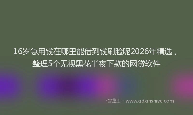 16岁急用钱在哪里能借到钱刷脸呢2026年精选，整理5个无视黑花半夜下款的网贷软件